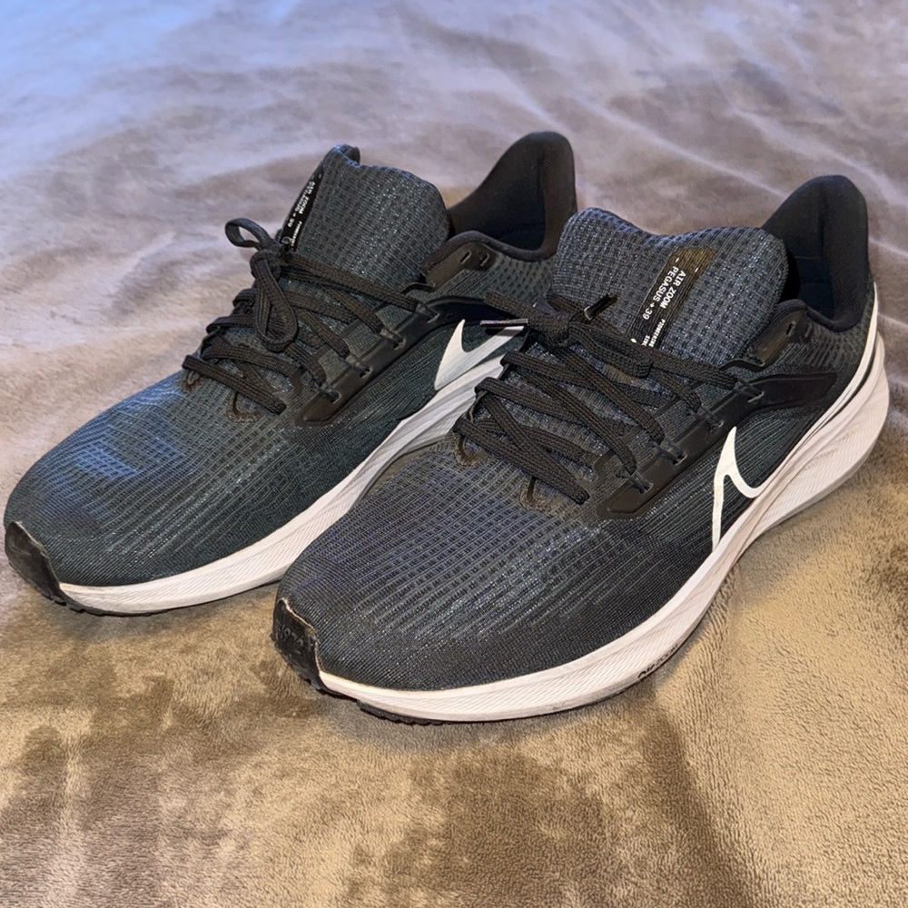 Nike Air Zoom Pegasus 39